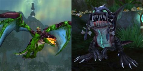 what are the 4 dailies for oracle rep